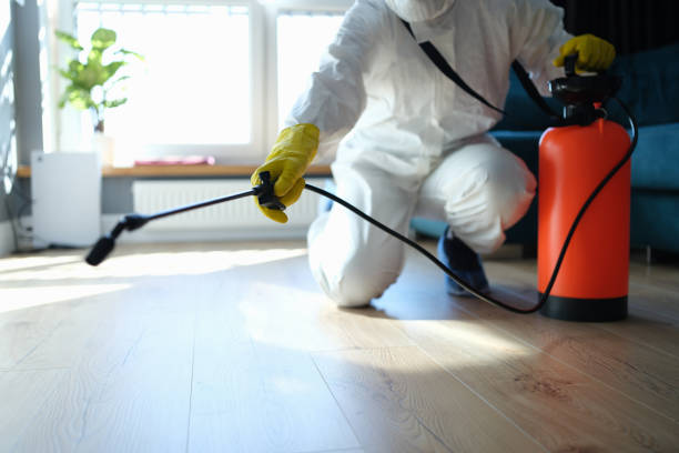 Reliable Infectious Disease Decontamination contractor in Ellijay, GA by Crime Scene Cleaner Online
